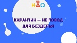 В НАО создали единый портал с информацией о способах вести привычный образ жизни в условиях самоизоляции