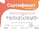 По инициативе Галины Гуляевой КЦСО НАО принял участие и победил во Всероссийском конкурсе